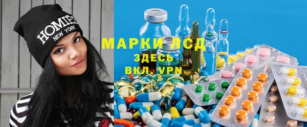 ECSTASY Алзамай