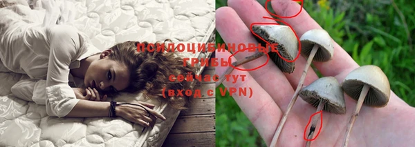 амф Алексеевка