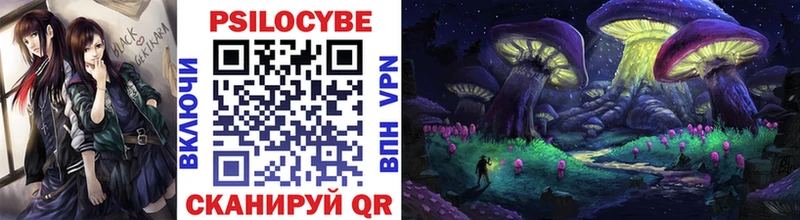 Псилоцибиновые грибы Psilocybine cubensis  где продают   Спас-Клепики 